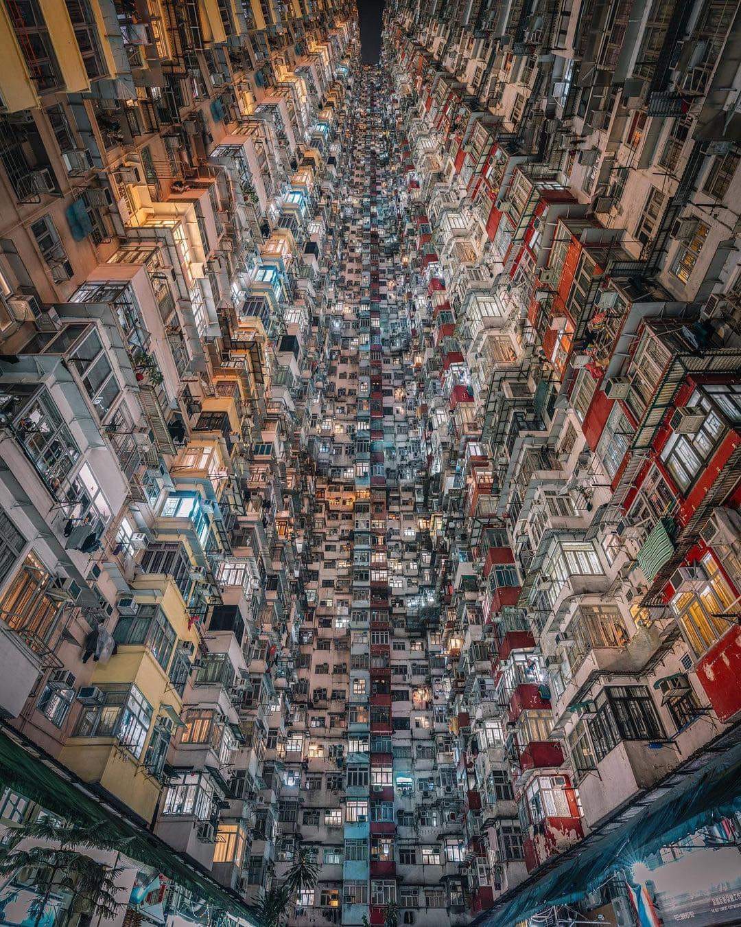 Hong Kong XD
